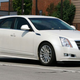 Illustration for article titled 2010 Cadillac CTS Sportwagon, Spotted!